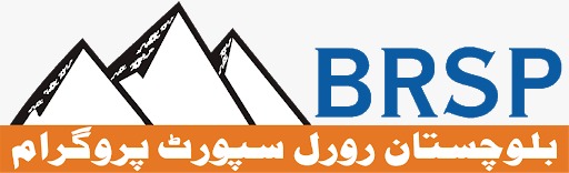 Top NGO in Pakistan IRM
